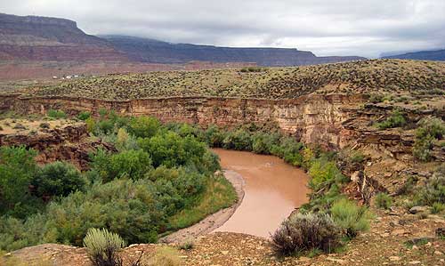 A Hurricane Jem Trail Marathon