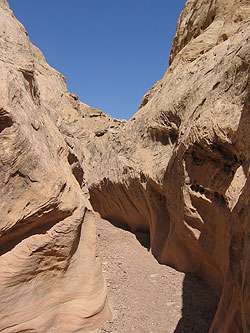 Hiking Group