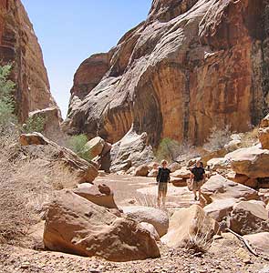 Farnsworth Canyon