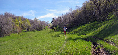 Squaw Peak 50 Mile - Hobble Creek