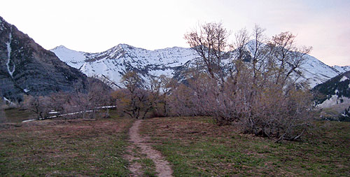 squaw peak 50 mile trail run